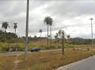 Projeto de construir 537 habitações pode destruir área verde do centro de SL