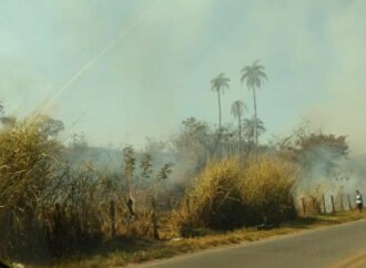 Moradores de Santa Luzia lutam pela criação do Parque Vicente Araújo