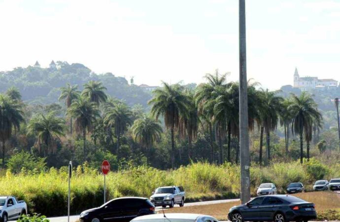 Conselho Municipal de Meio Ambiente vai rever licença concedida à Emccamp